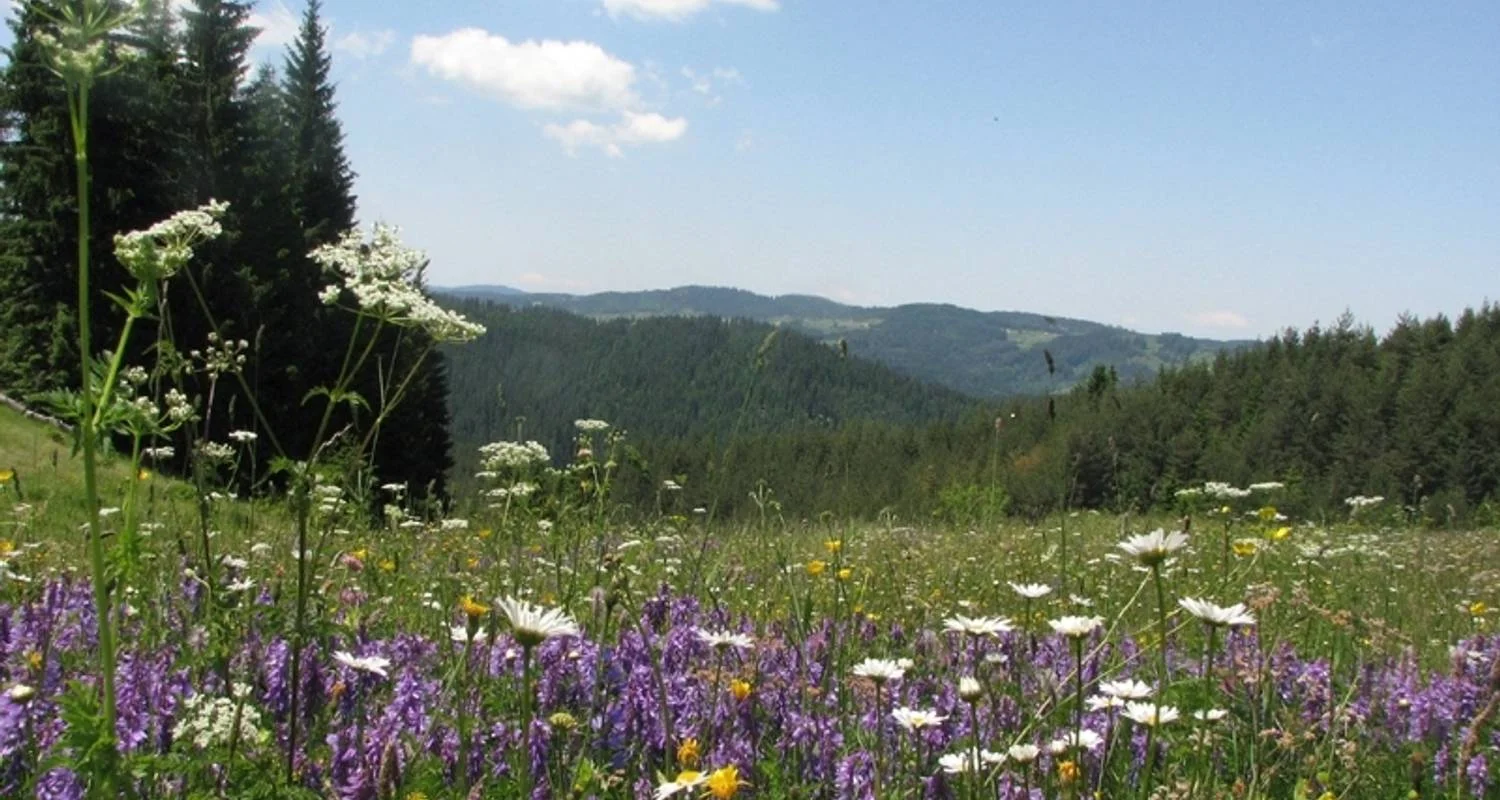 Explore Bulgaria: Rodopi Mountains for 8 days with Exodus Adventure Travels and discover unforgettable experiences - Photo 2