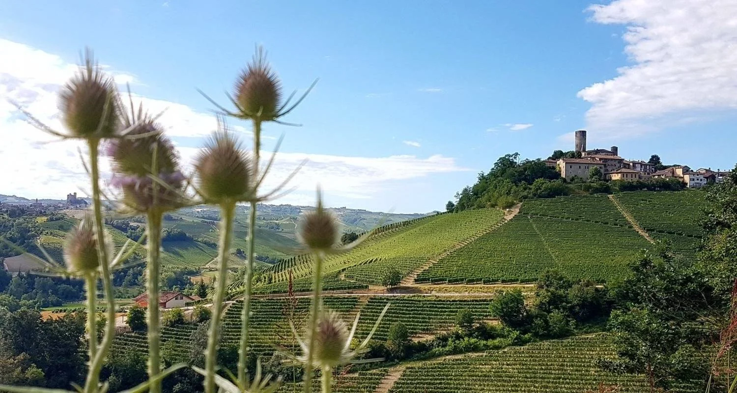Explore Gastronomic Barolo Walk for 9 days with Exodus Adventure Travels and discover unforgettable experiences - Photo 2