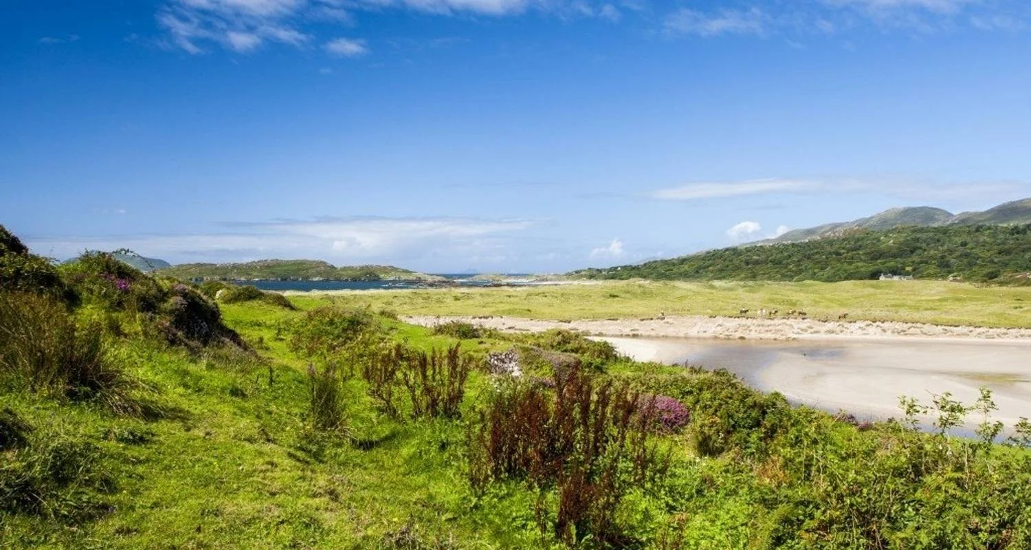 Explore Walking the Kerry Way and Killarney National Park for 8 days with Exodus Adventure Travels and discover unforgettable experiences - Photo 2