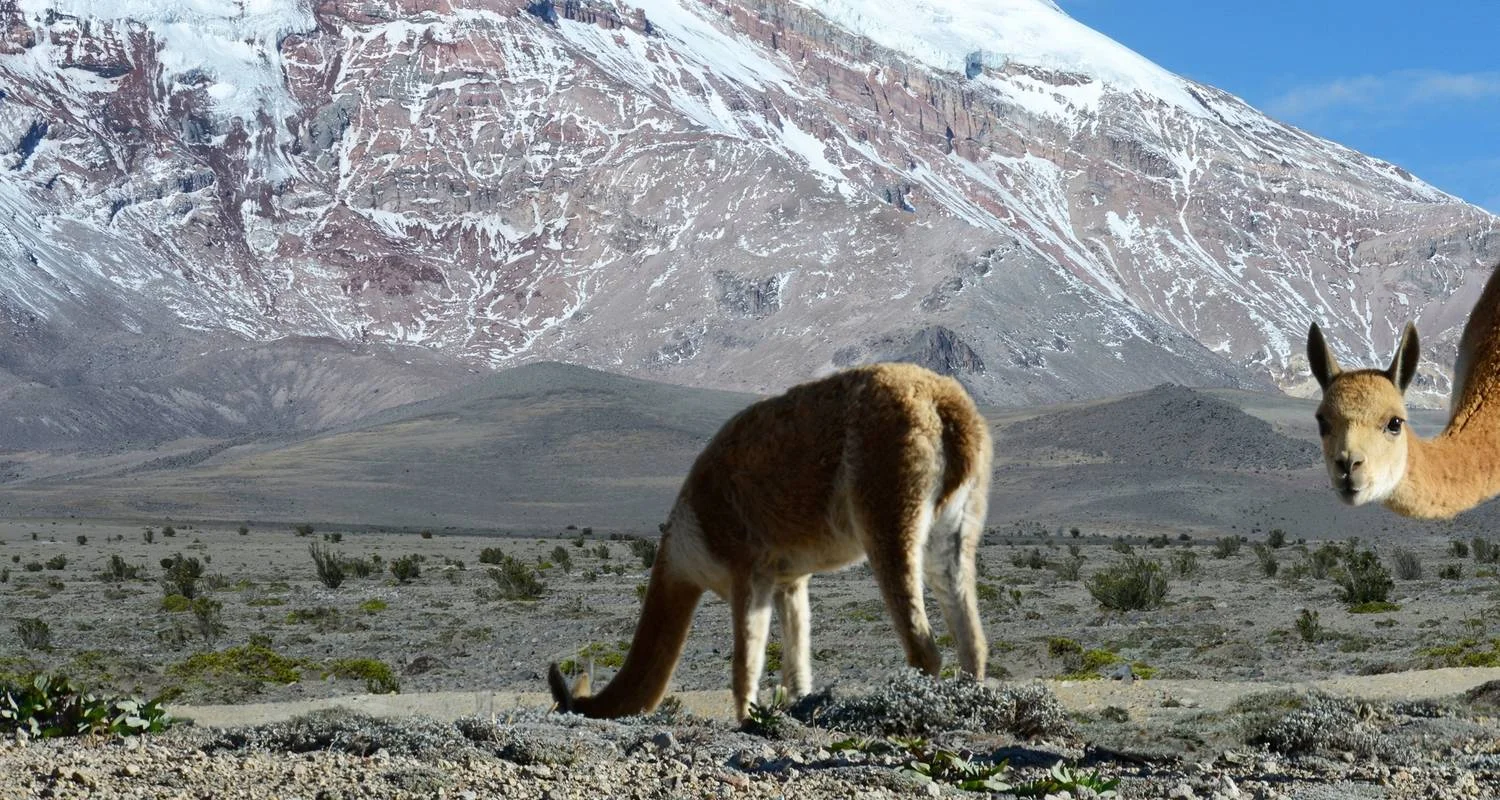 Explore Highlights of Ecuador: Andes to Amazon for 14 days with Exodus Adventure Travels and discover unforgettable experiences - Photo 2