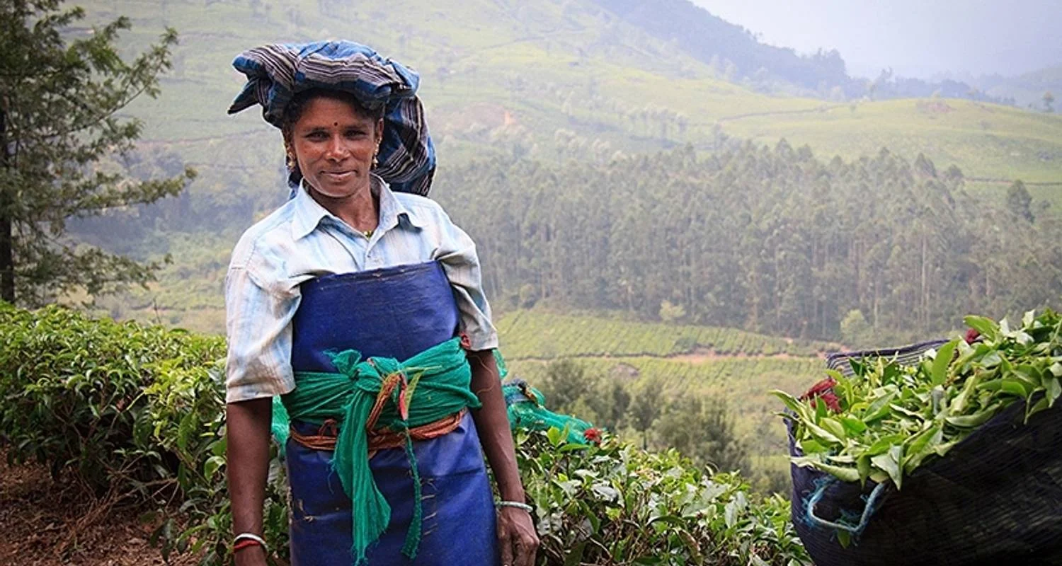 Explore Southern India Coast to Coast Ride for 14 days with Exodus Adventure Travels and discover unforgettable experiences - Photo 2