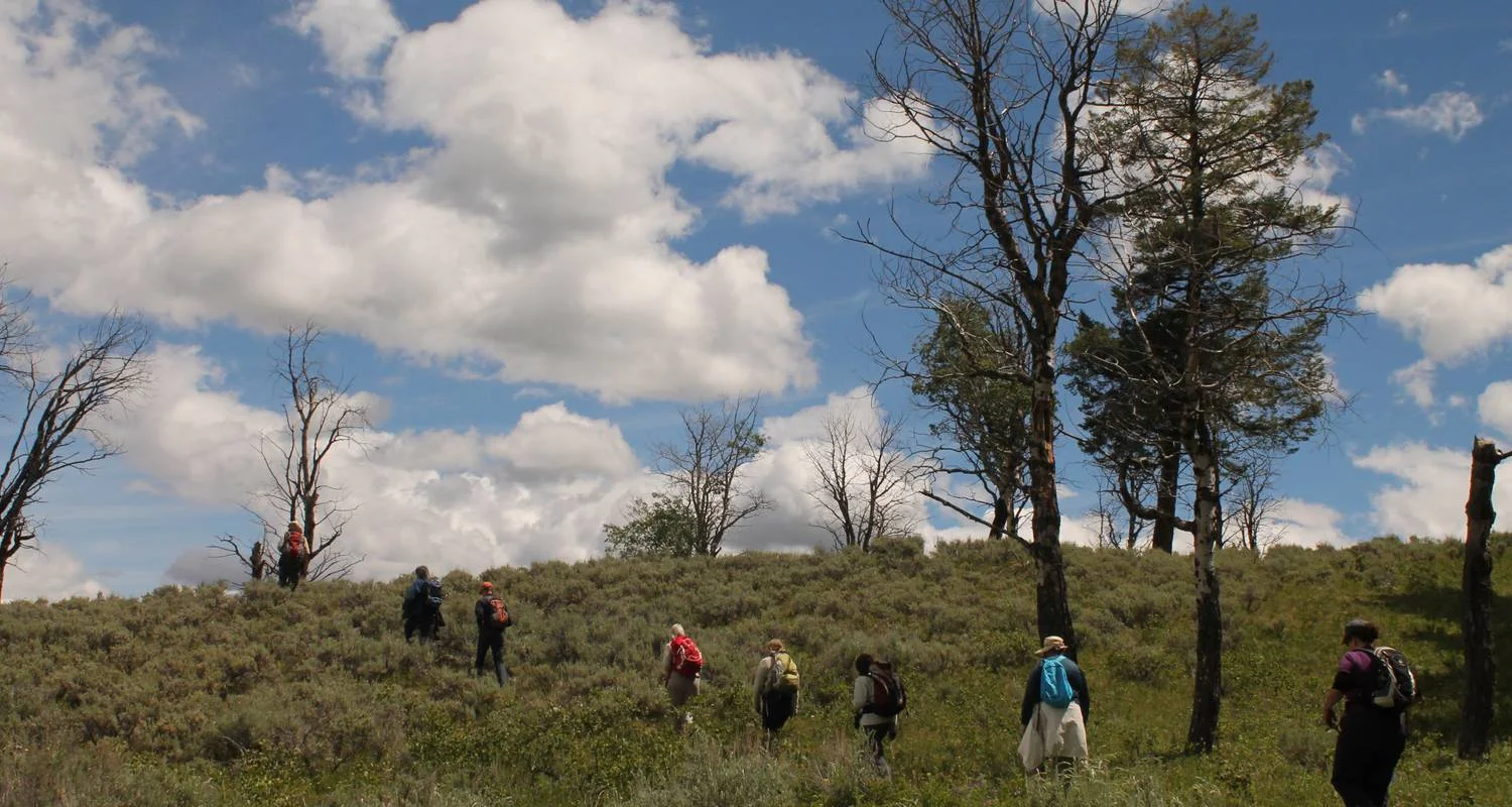 Explore Yellowstone Wildlife Trails - Camping for 12 days with Exodus Adventure Travels and discover unforgettable experiences - Photo 2