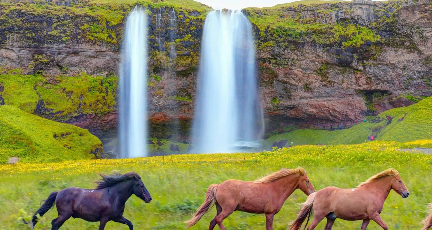 Explore Magical Blue Lagoon & Iceland Northern Lights  for 4 days with Expeditions Gateways and discover unforgettable experiences - Photo 2