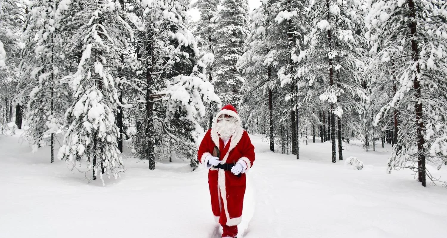 Explore Finland  Highlights & Arctic Adventure with Northern Lights & Glass Igloo for 7 days with Expeditions Gateways and discover unforgettable experiences - Photo 6