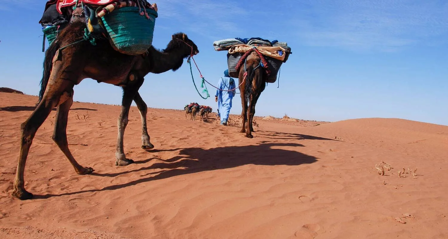 Explore 6 Days Camel Trekking from Marrakech to M'hamid & Erg Zaher Desert for 6 days with Explore Adventures Morocco and discover unforgettable experiences - Photo 2