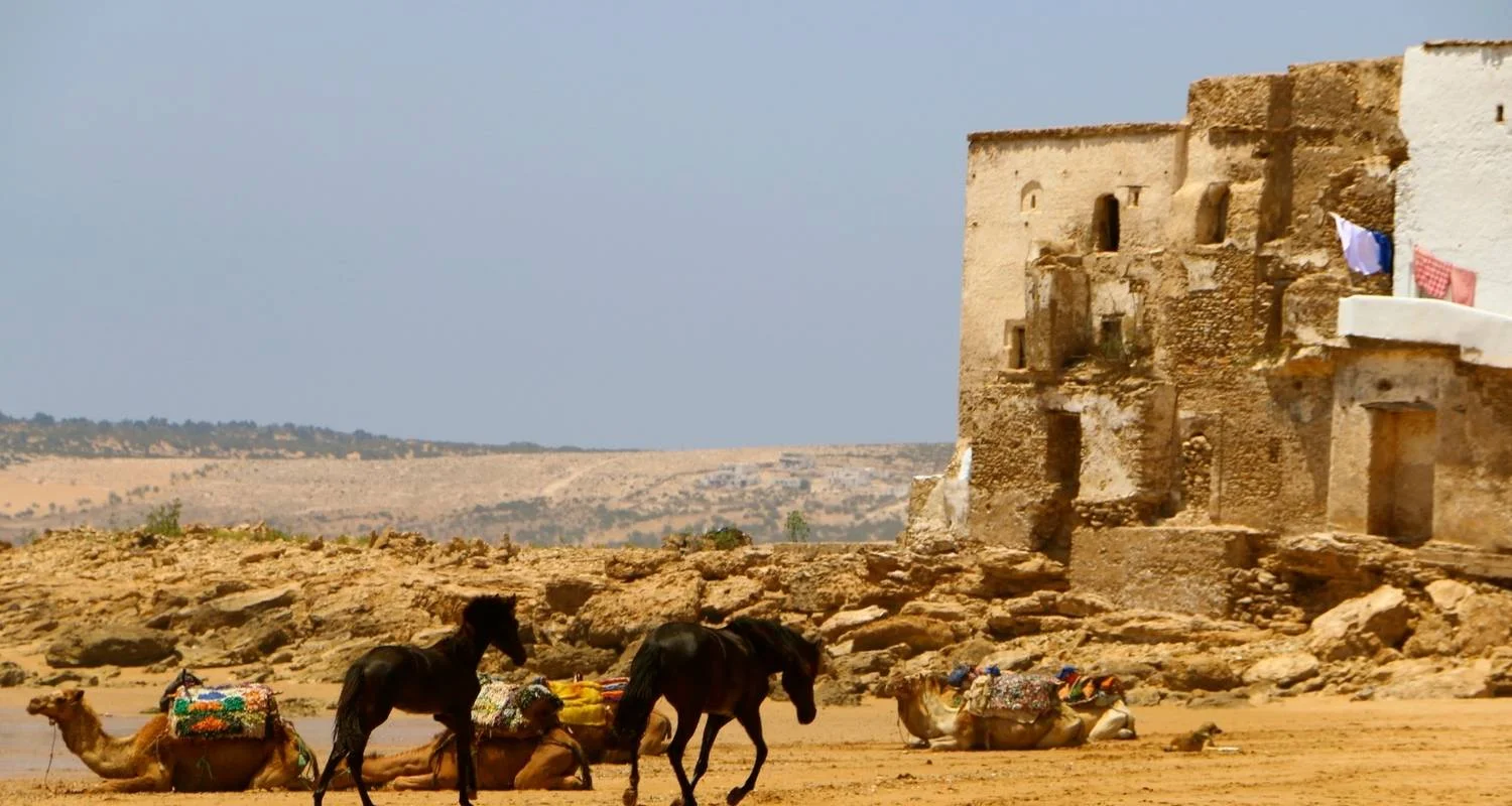 Explore The Coast of Southern Morocco: 7 Day Tour from/to Casablanca: Atlantic Beaches and Atlas Mountains (Private Tour) for 7 days with Explore Morocco Travel and discover unforgettable experiences - Photo 2