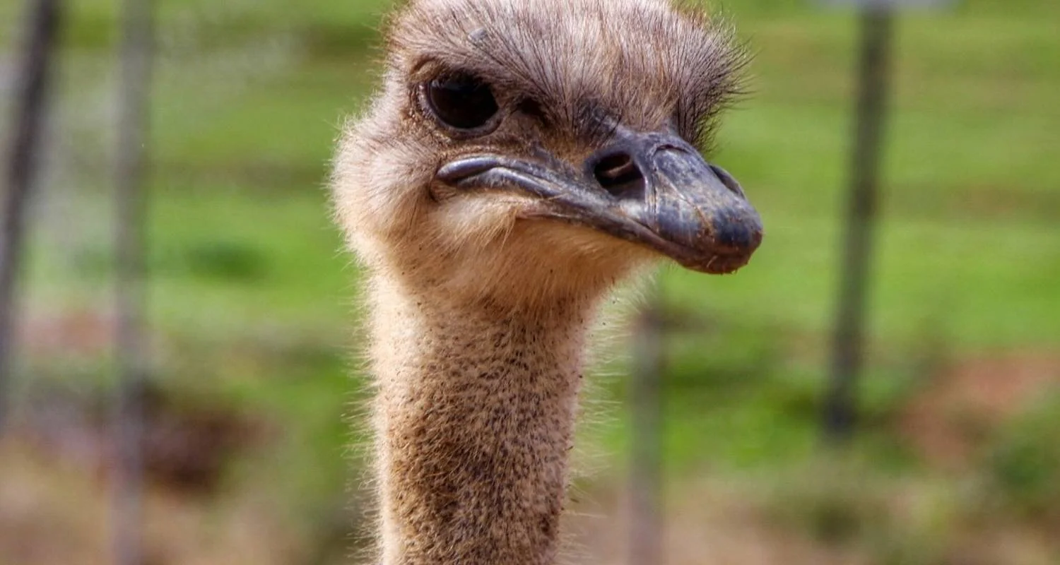 Explore Cape Winelands and the Garden Route for Wine Lovers - 5 Days for 5 days with Explore South Africa and discover unforgettable experiences - Photo 2