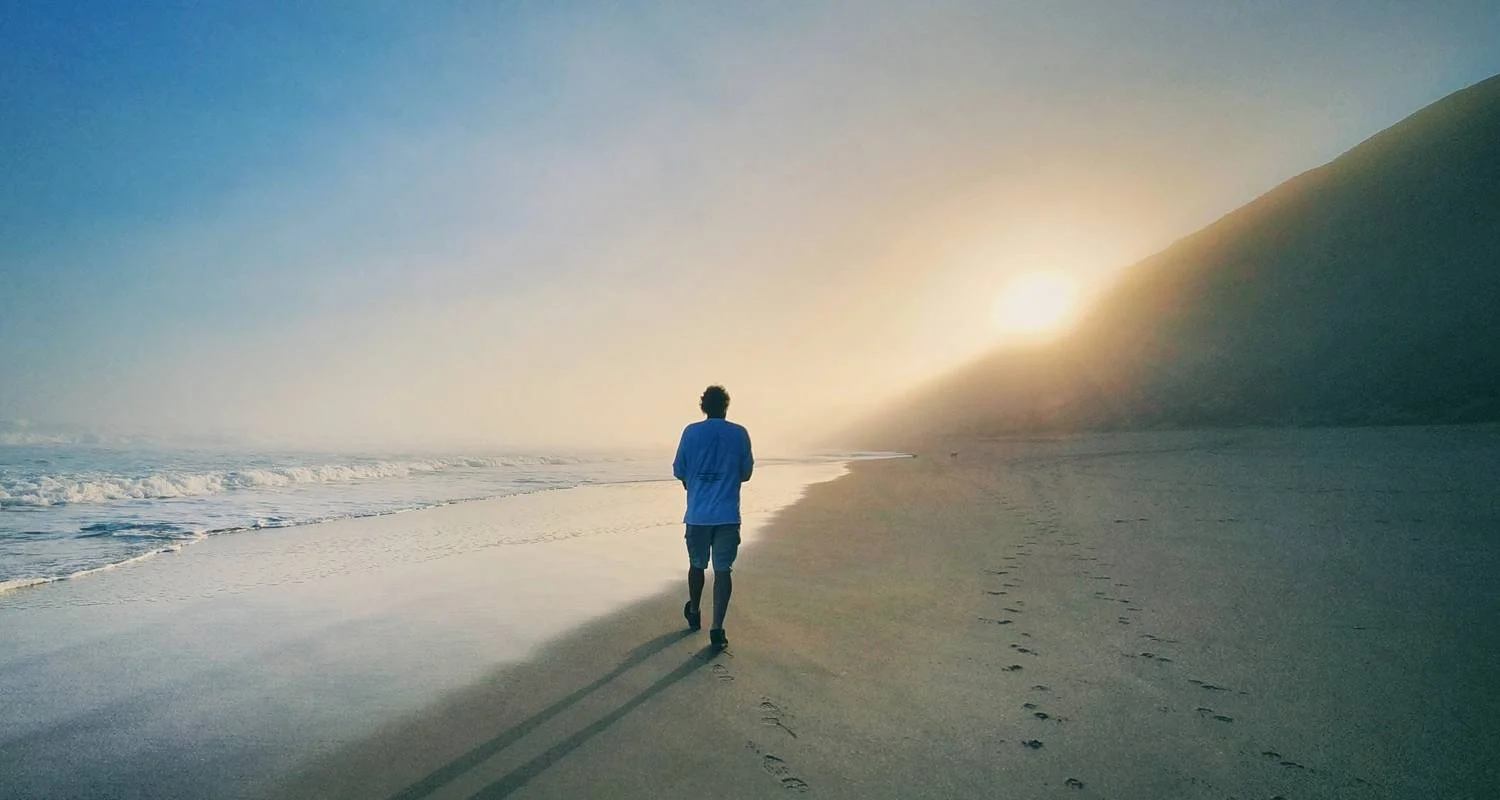 Explore Garden Route Wildlife Safari - 4 Days for 4 days with Explore South Africa and discover unforgettable experiences - Photo 2