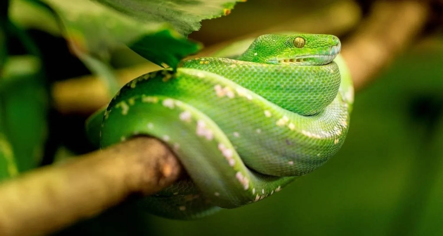 Explore Highlights of Costa Rica for 8 days with Explore! and discover unforgettable experiences - Photo 2