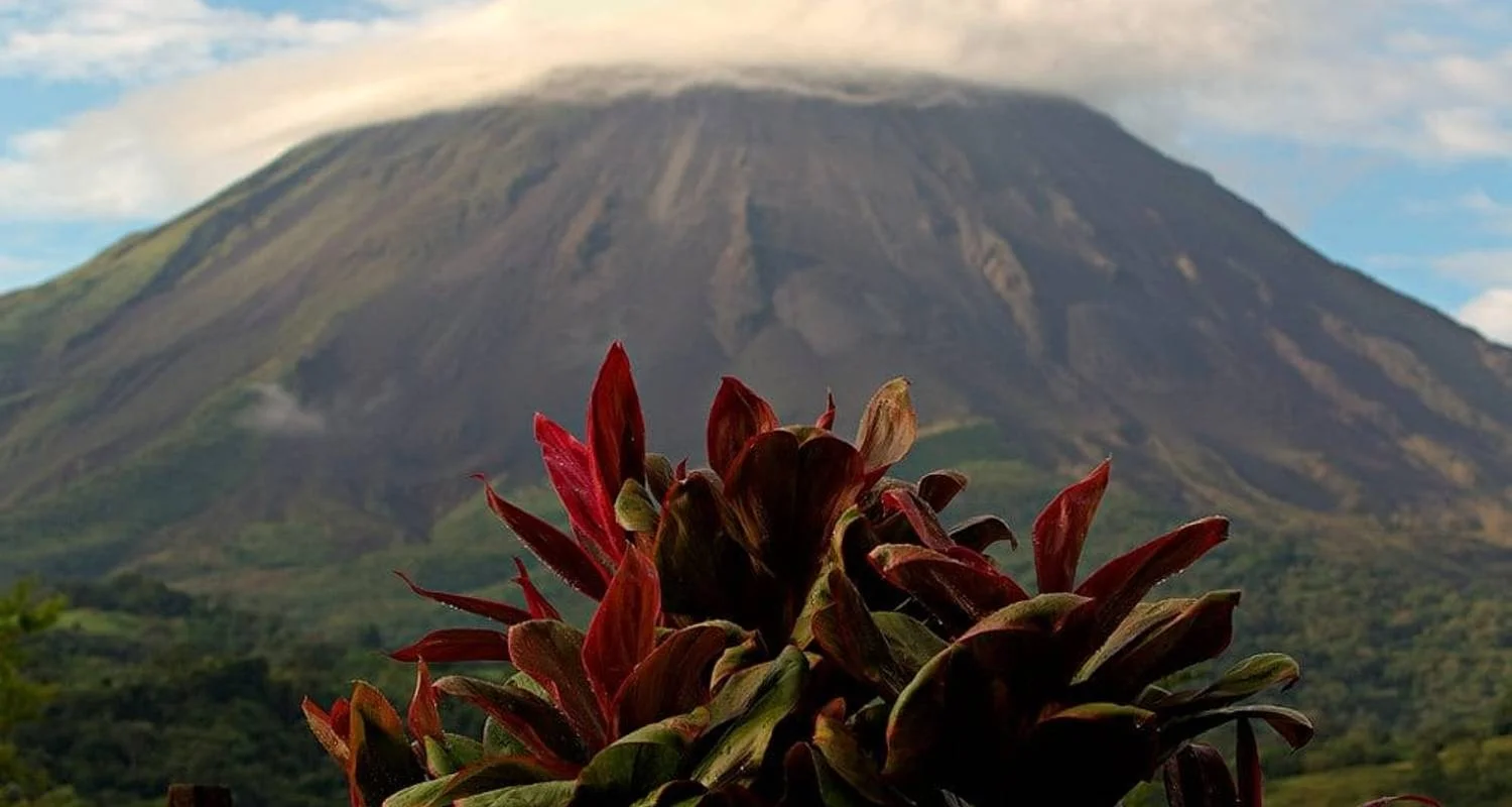 Explore Highlights of Costa Rica + Beach Extension for 10 days with Explore! and discover unforgettable experiences - Photo 2