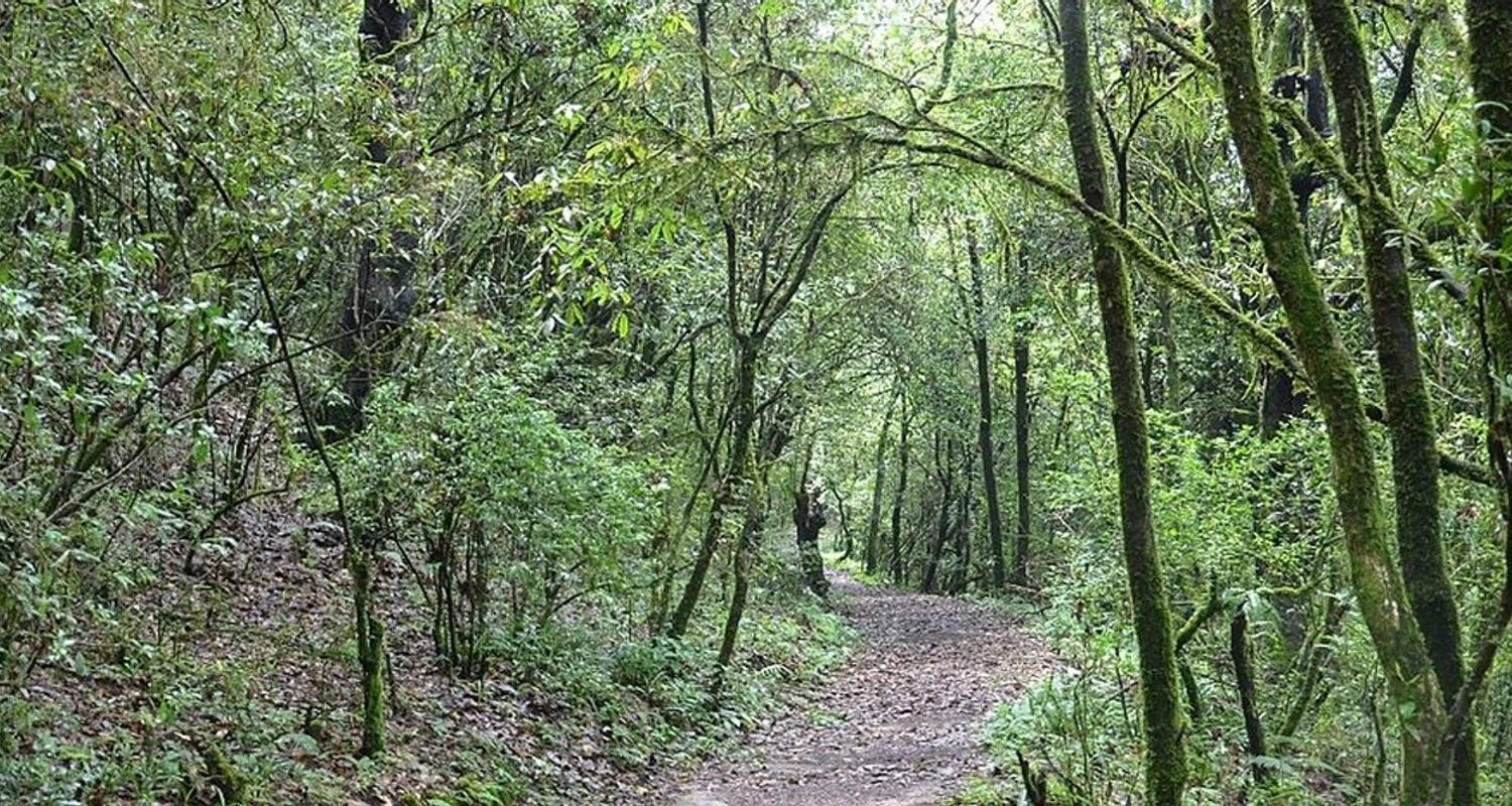 Explore Kathmandu Valley Ridge Trek – 4 Days for 6 days with Female Guide Holiday and discover unforgettable experiences - Photo 2