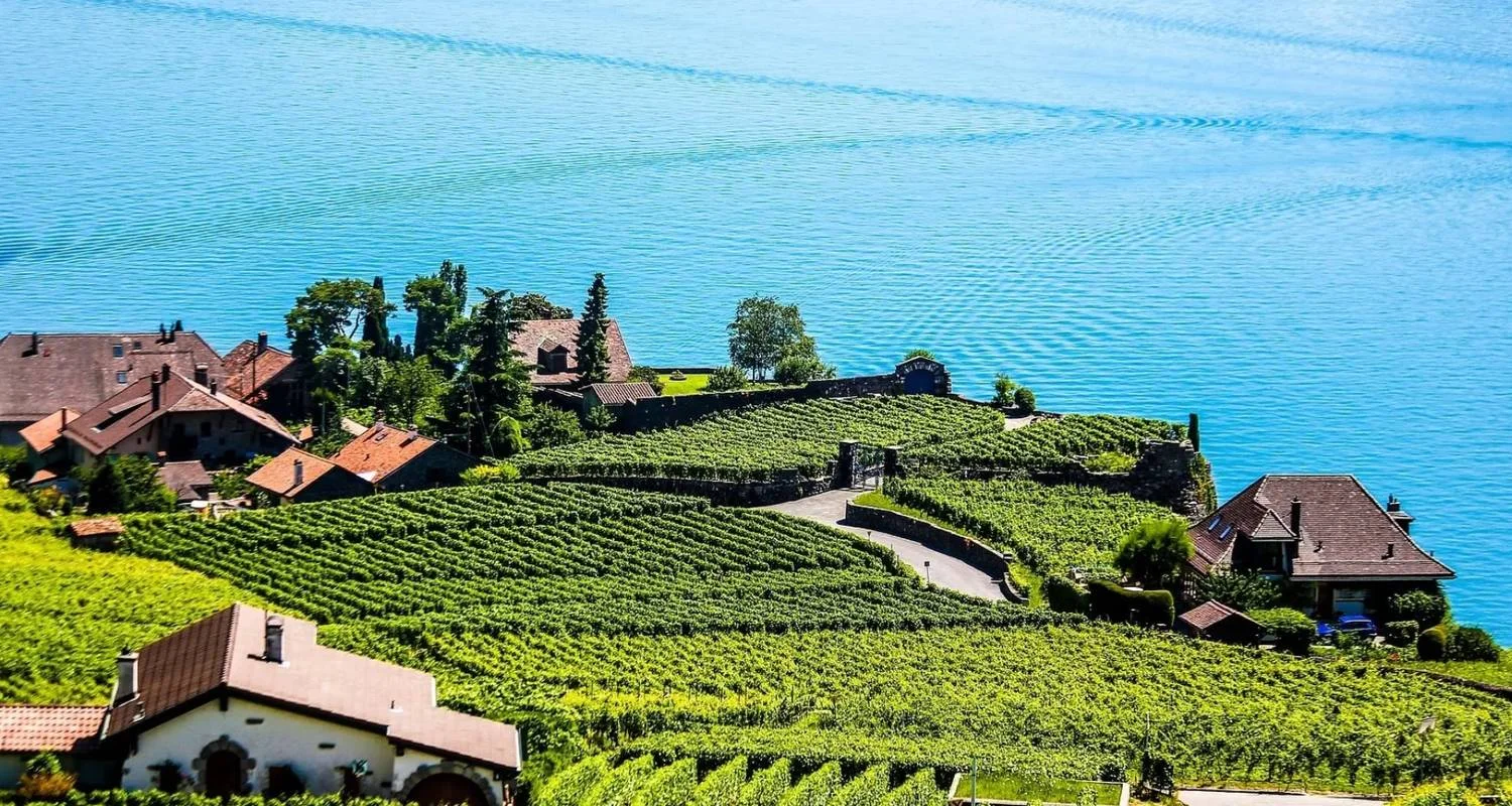 Explore Definitive Switzerland Private Tour for 12 days with Firebird Tours and discover unforgettable experiences - Photo 2