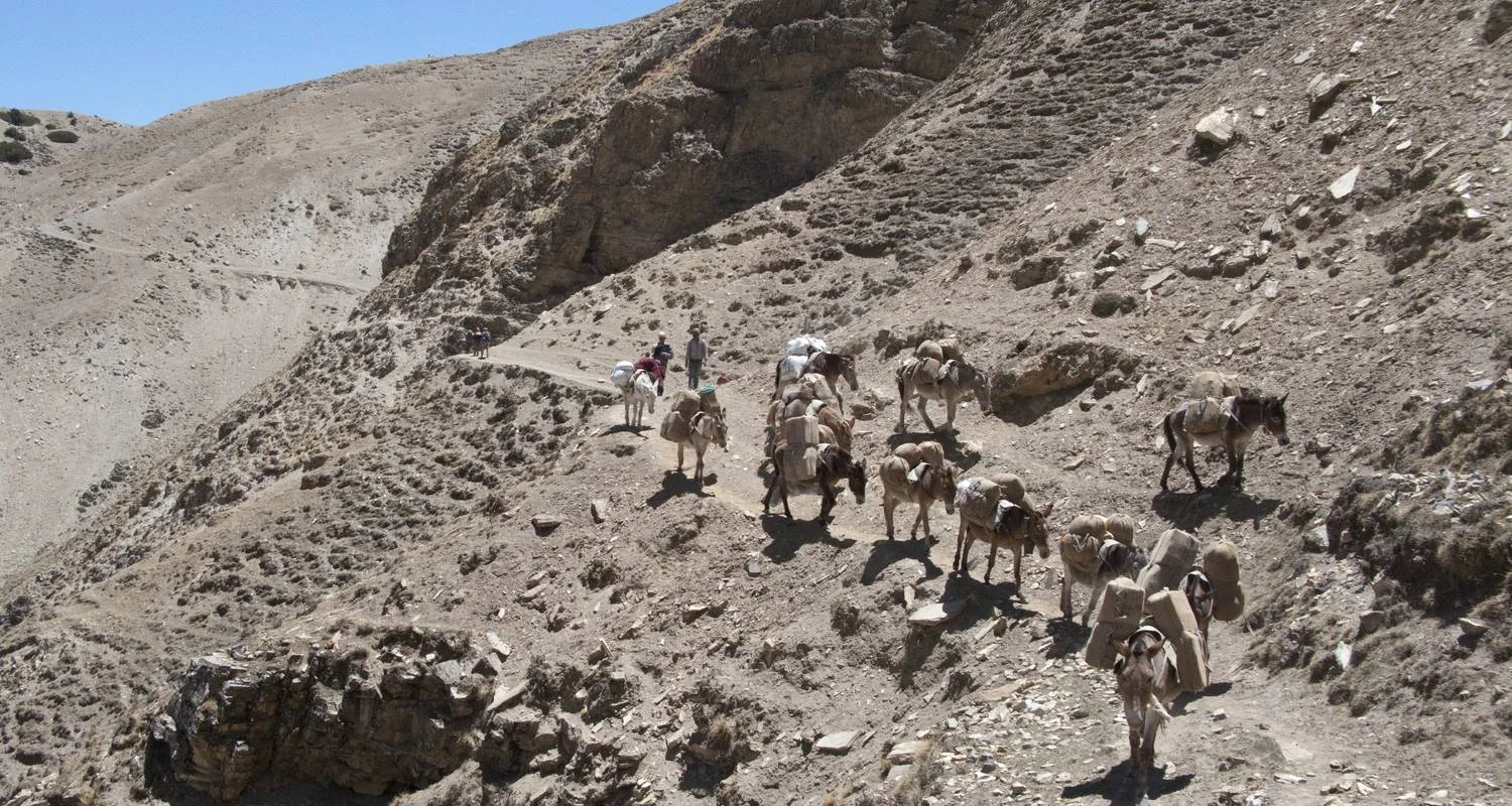 Explore Upper Dolpa Trek for 18 days with First Environmental Trekking and discover unforgettable experiences - Photo 2