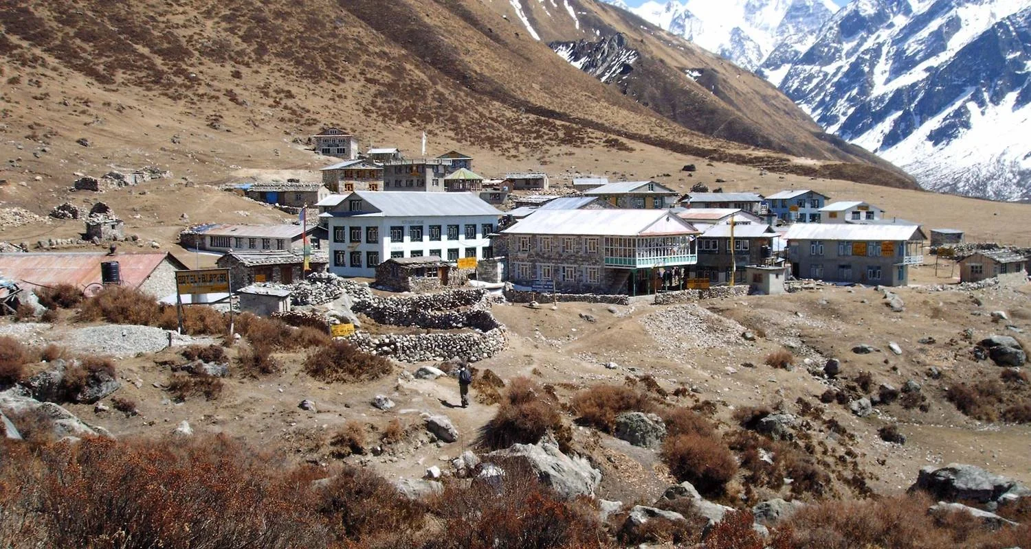 Explore Langtang Valley Trek for 7 days with First Environmental Trekking and discover unforgettable experiences - Photo 2