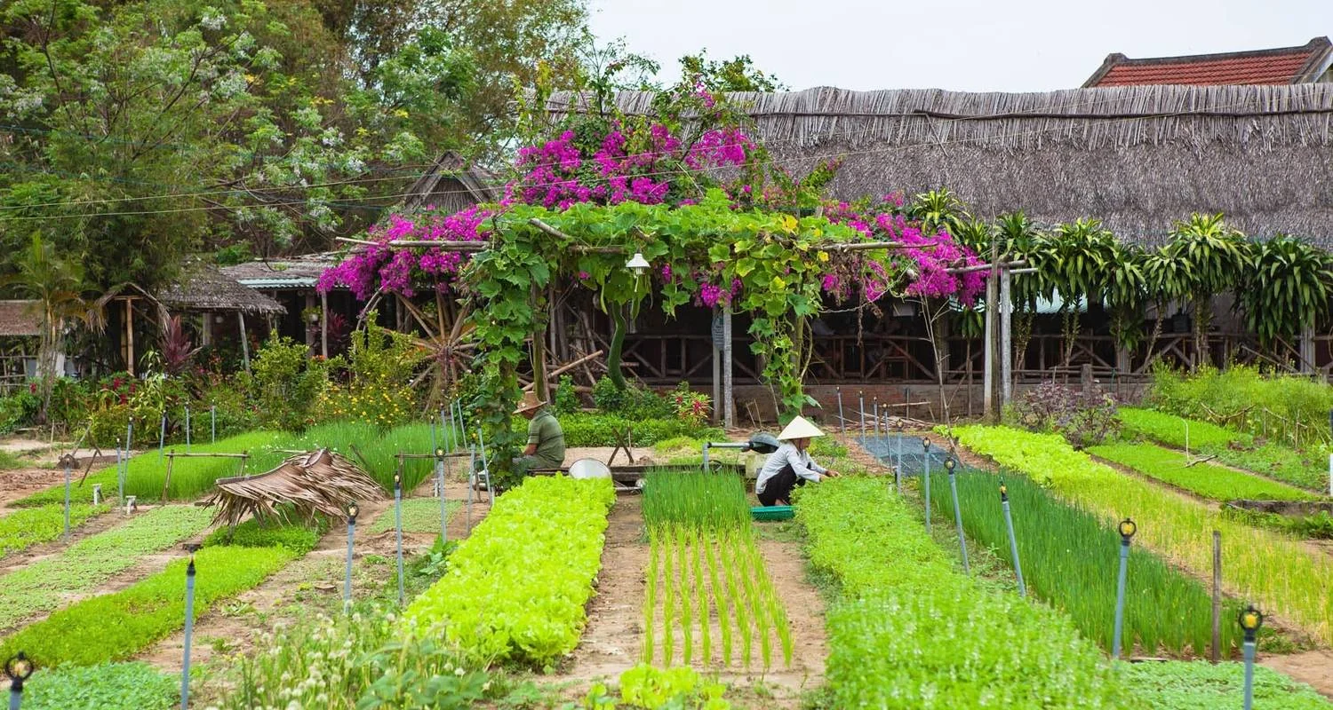 Explore Jewels of Vietnam and Cambodia for 12 days with Footsteps Indochina Travel and discover unforgettable experiences - Photo 2