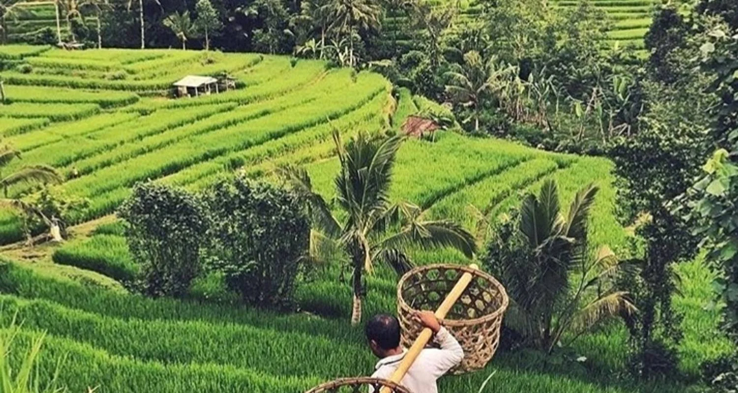 Explore Best of Bali Instagram 3 Day Tour (Private & All Inclusive) for 3 days with ForeverVacation and discover unforgettable experiences - Photo 2