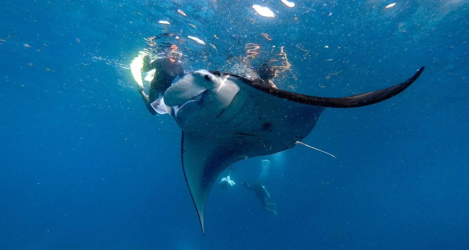 Explore Bali Wildlife Experience 3 Day Tour (Private & All-Inclusive) for 3 days with ForeverVacation and discover unforgettable experiences - Photo 2