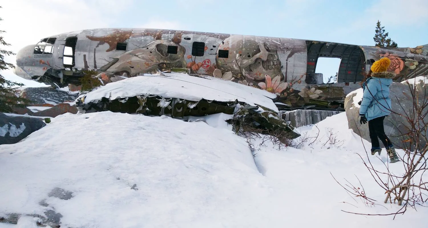 Explore Polar Bears in Churchill & the Tundra Buggy Lodge for 7 days with Frontiers North Adventures and discover unforgettable experiences - Photo 2