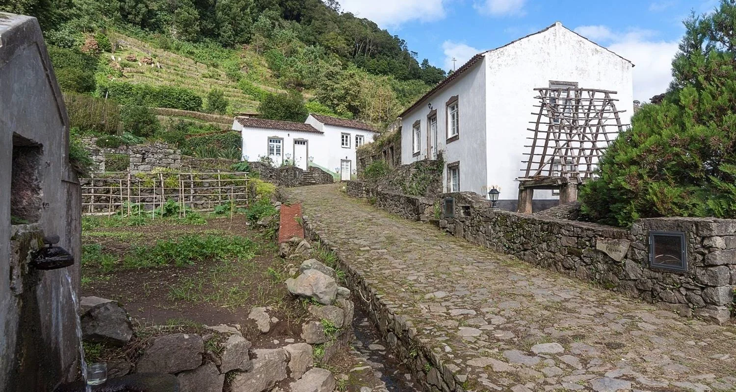 Explore São Miguel Soft Hiking for 7 days with Futurismo Azores Adventures and discover unforgettable experiences - Photo 2