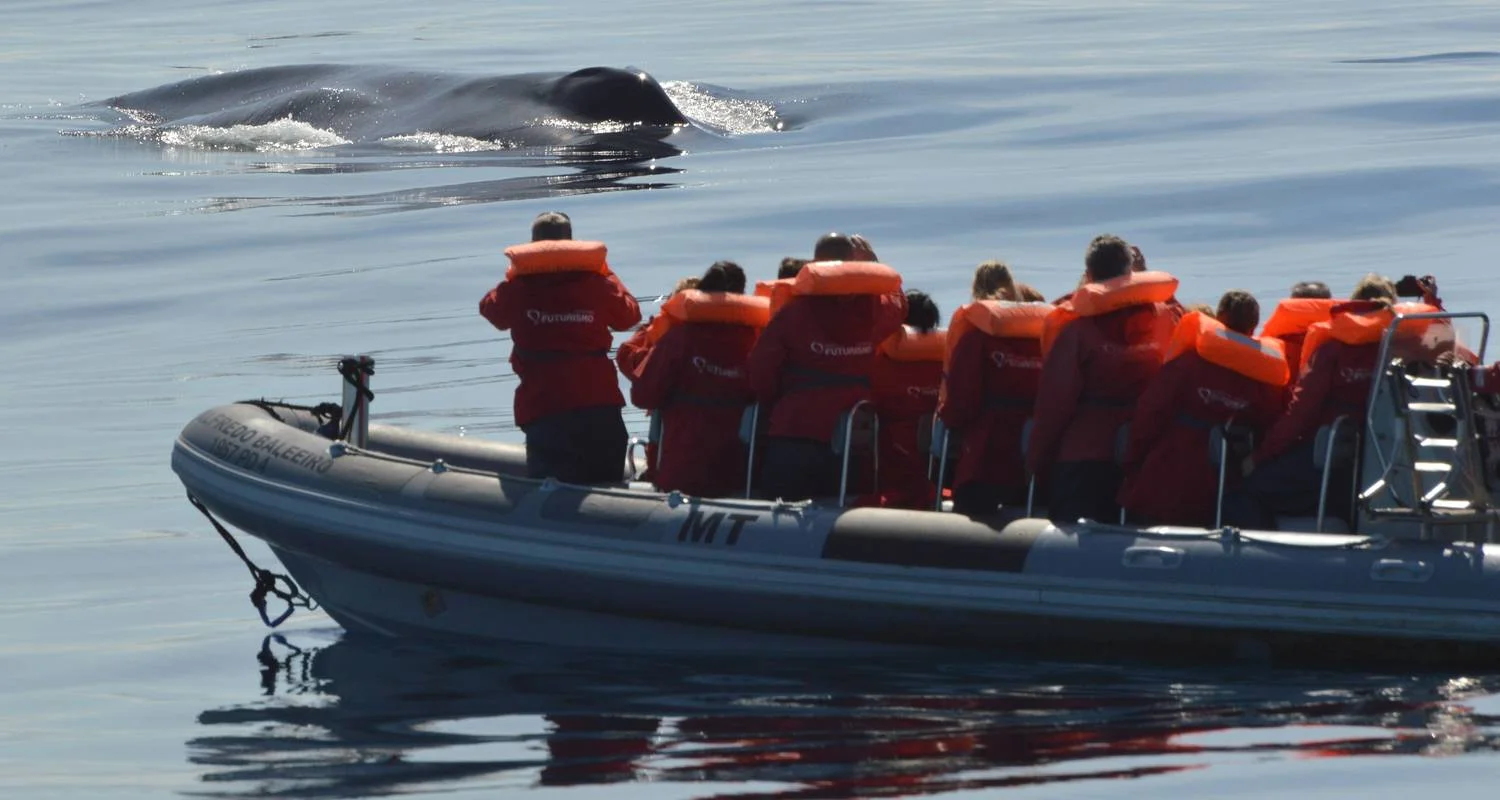 Explore Discover Pico Island - Hiking, Sightseeing and More for 7 days with Futurismo Azores Adventures and discover unforgettable experiences - Photo 2