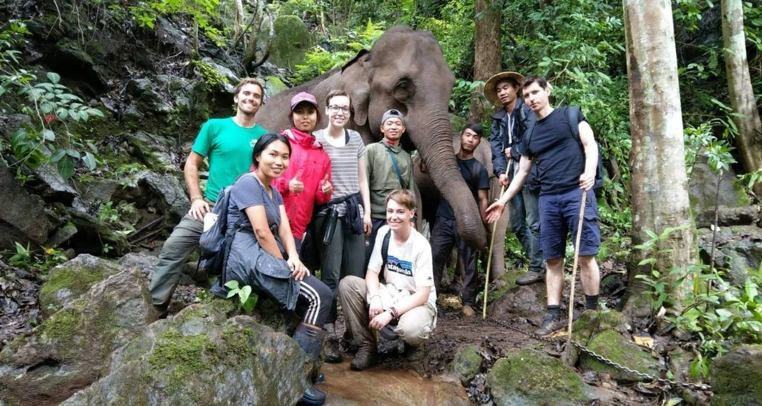 Explore Thailand Elephant Experience: Animal Welfare, Conservation & Jungle Trekking for 8 days with GIVE Volunteers and discover unforgettable experiences - Photo 2