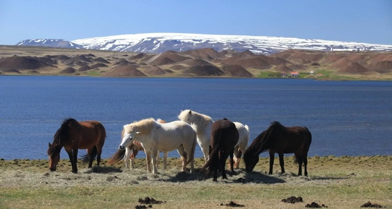 Explore 8 Days Guided Iceland Circle for 8 days with GJ Travel and discover unforgettable experiences - Photo 2