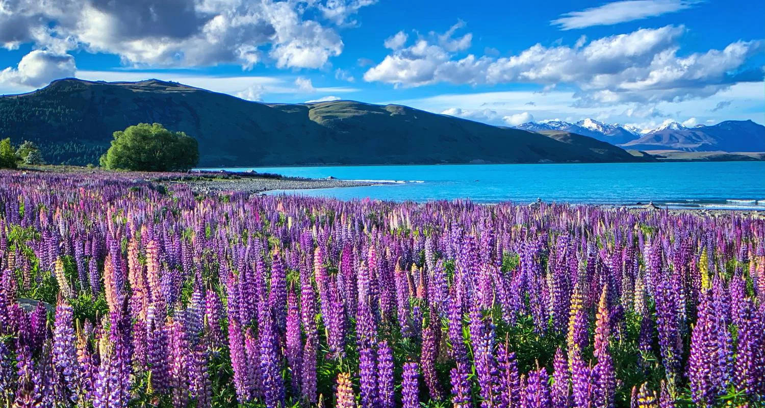 Explore Australia And New Zealand: Bushwalks & Beaches for 24 days with G Adventures and discover unforgettable experiences - Photo 2
