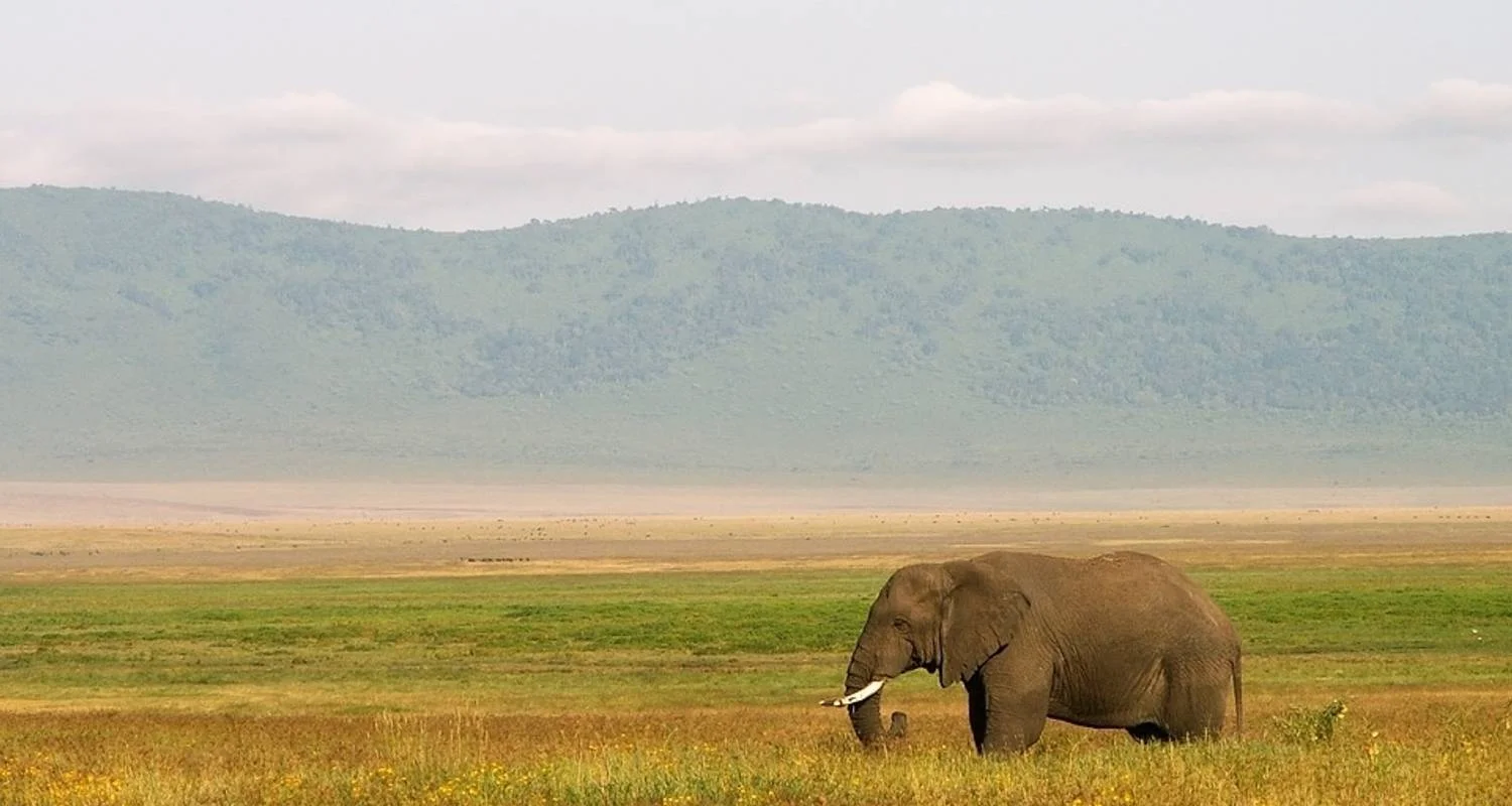 Explore Serengeti Safari & Zanzibar for 12 days with G Adventures and discover unforgettable experiences - Photo 2