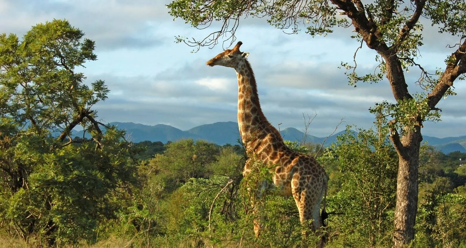 Explore Solo-ish South Africa for 10 days with G Adventures and discover unforgettable experiences - Photo 2