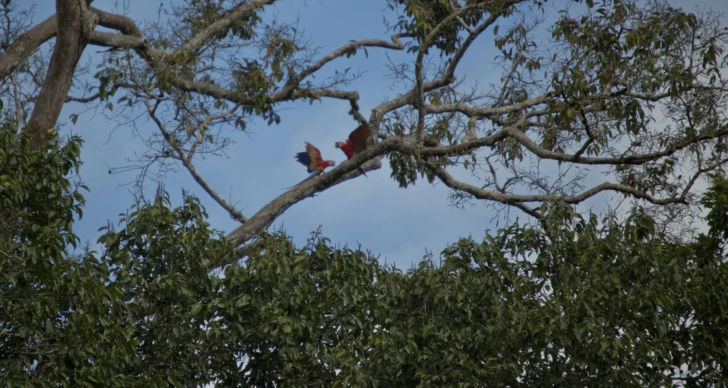 Explore Local Living Ecuador—Amazon Jungle for 7 days with G Adventures and discover unforgettable experiences - Photo 2