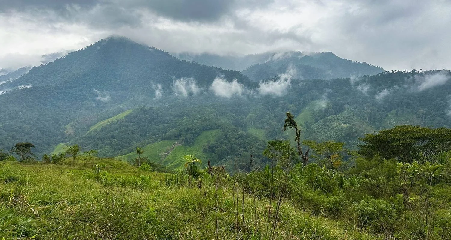 Explore Lost City Trek Colombia 4 Days Tour for 4 days with GUIDEcuador Travel and discover unforgettable experiences - Photo 2