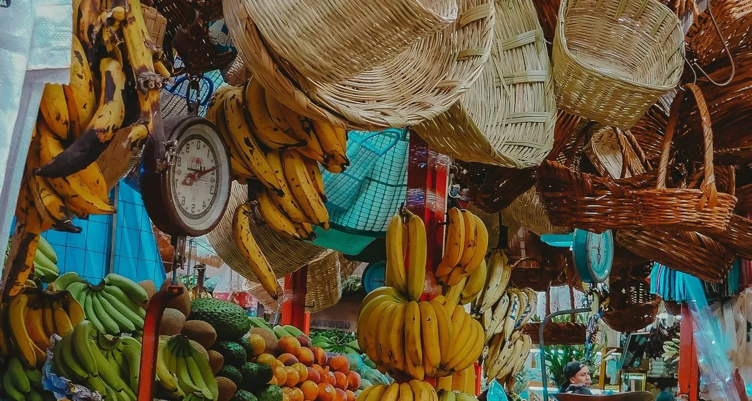 Explore Mexico Express 6 Days Tour for 6 days with GUIDEcuador Travel and discover unforgettable experiences - Photo 2