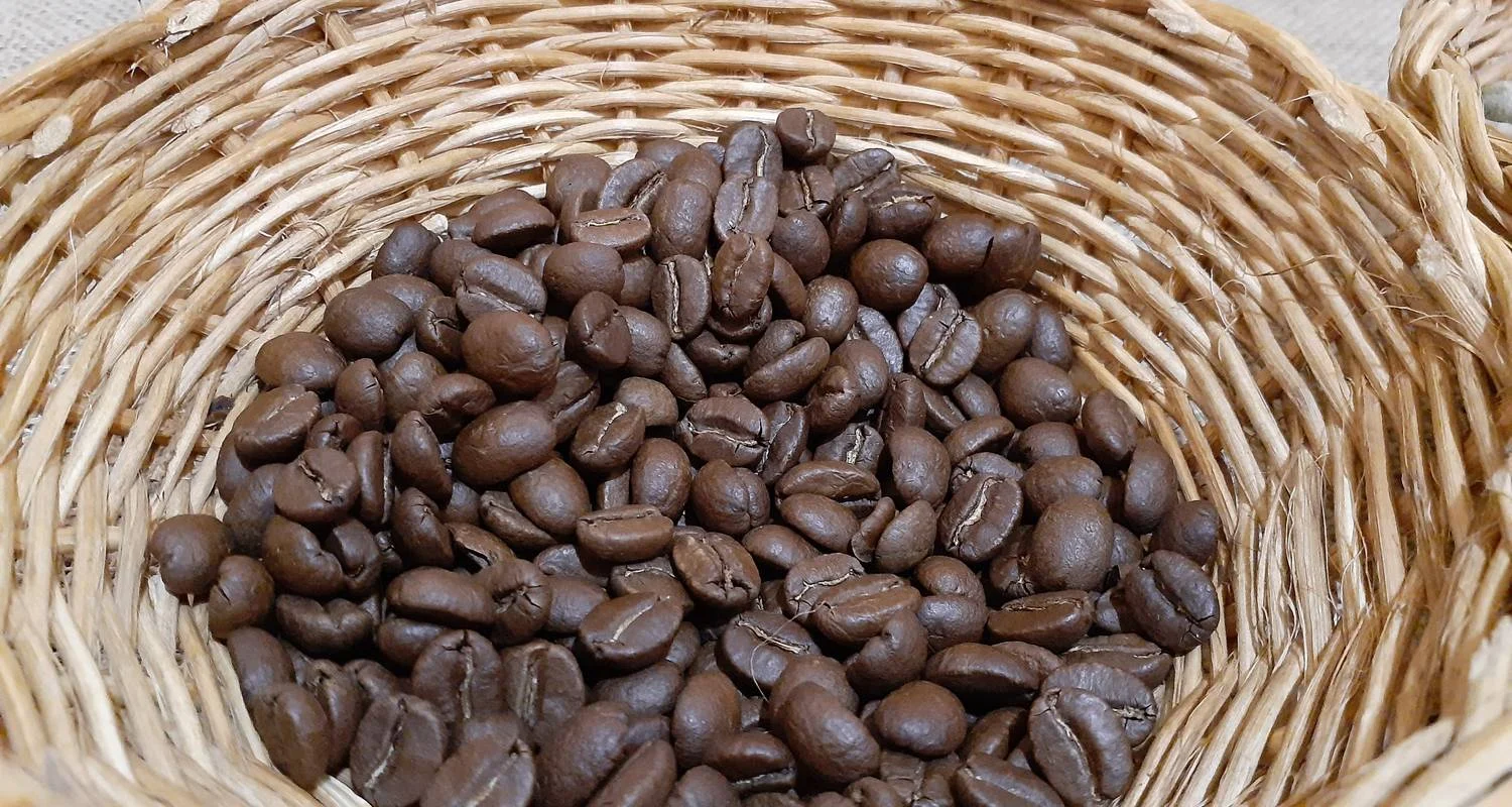 Explore Colombia & Galapagos Express 13 Days Tour for 13 days with GUIDEcuador Travel and discover unforgettable experiences - Photo 2