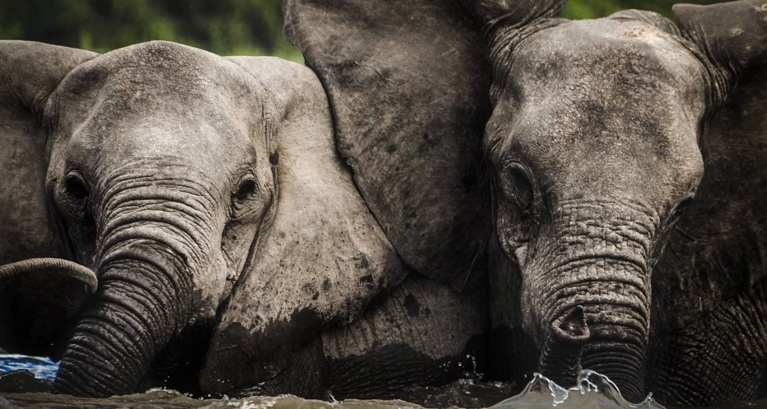 Explore 5 Days Serengeti Migration Safari for 5 days with Gecko Adventure and discover unforgettable experiences - Photo 2