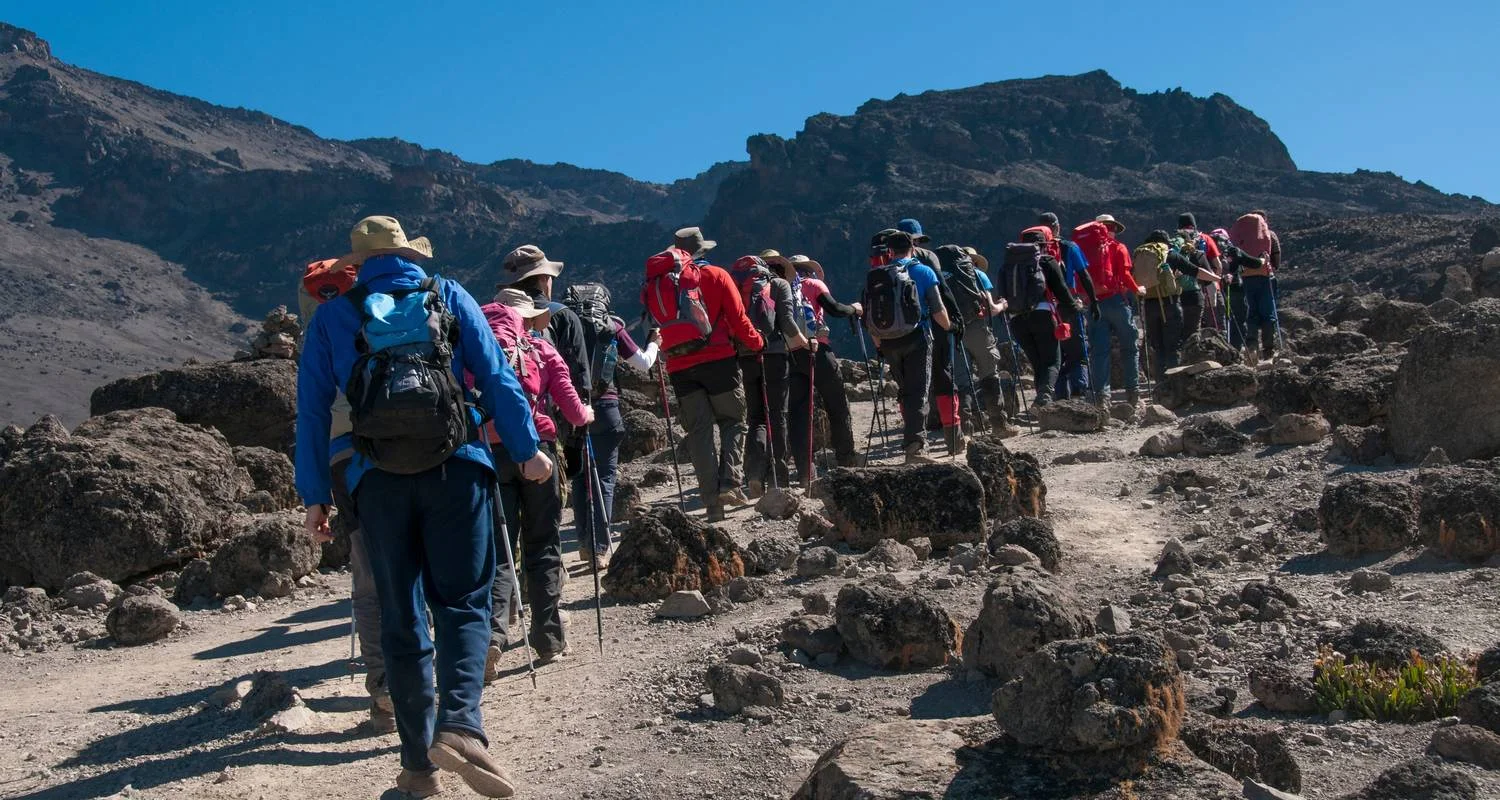 Explore Climb Kilimanjaro Via Lemosho Route 7 Days for 7 days with Gecko Adventure and discover unforgettable experiences - Photo 2