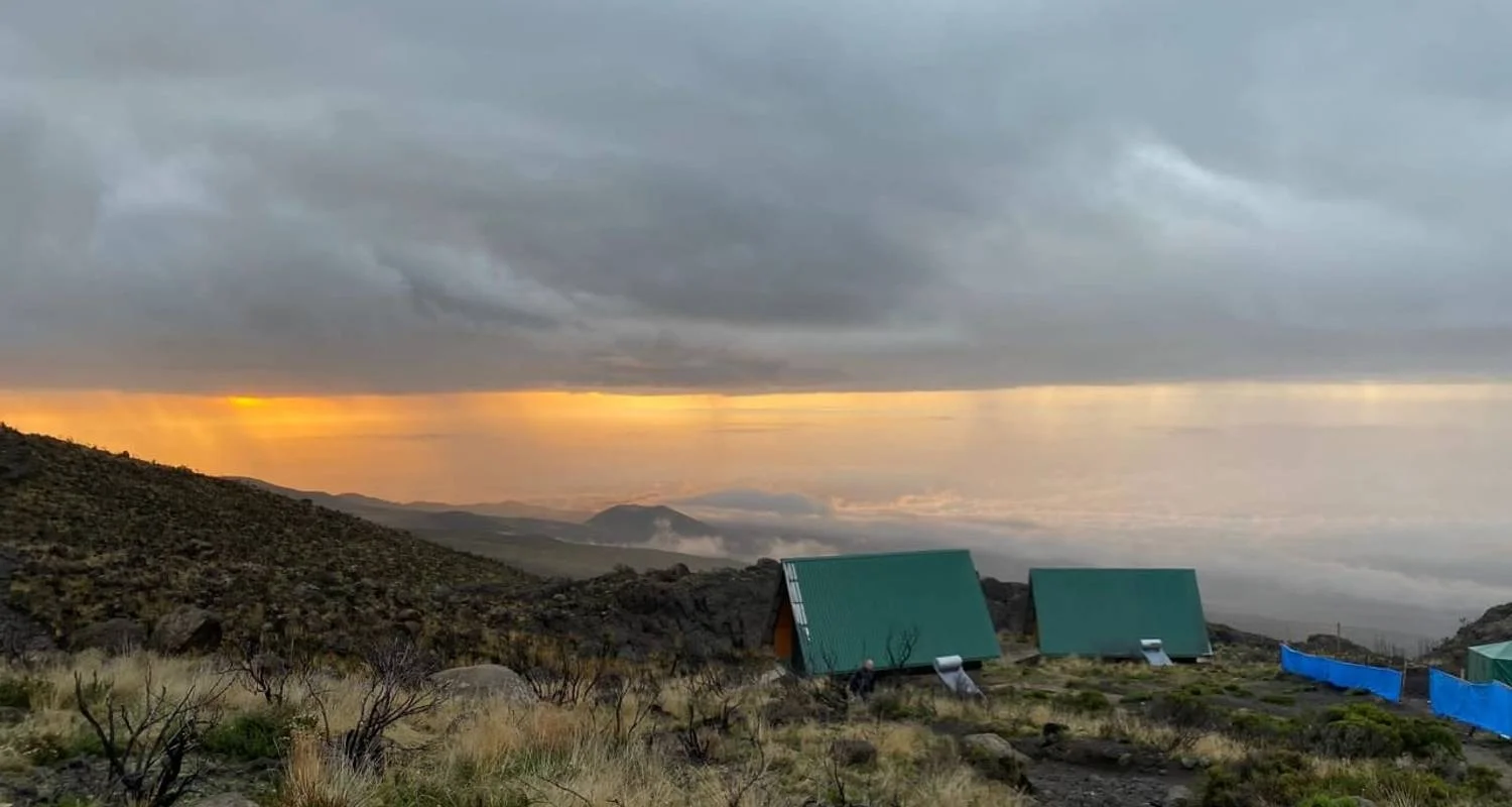 Explore Climb Kilimanjaro Via Lemosho Route 8 Days for 8 days with Gecko Adventure and discover unforgettable experiences - Photo 2