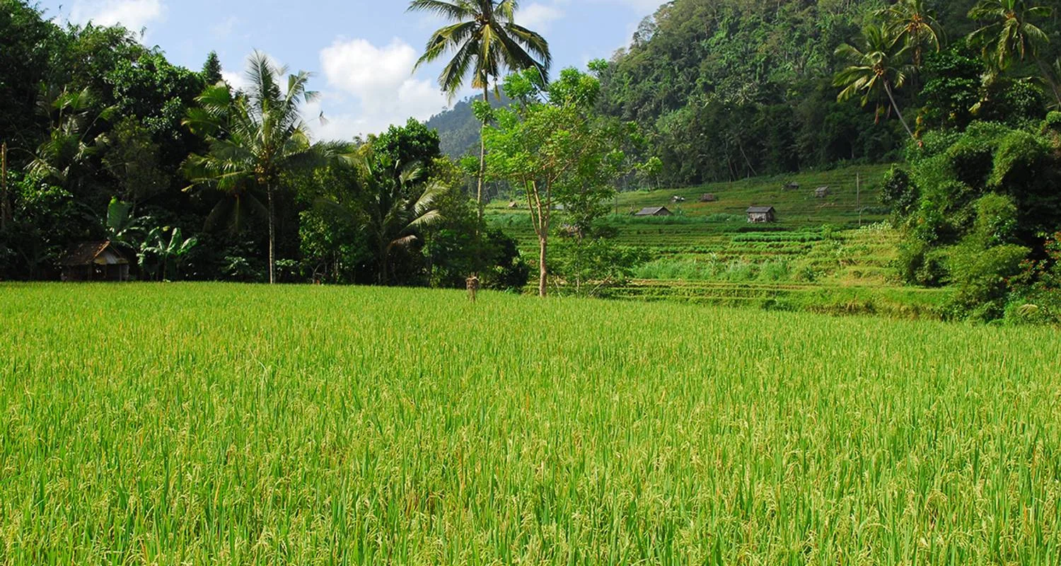Explore indonesian Diversity on Sumatra, Java and Bali for 19 days with Gebeco and discover unforgettable experiences - Photo 2