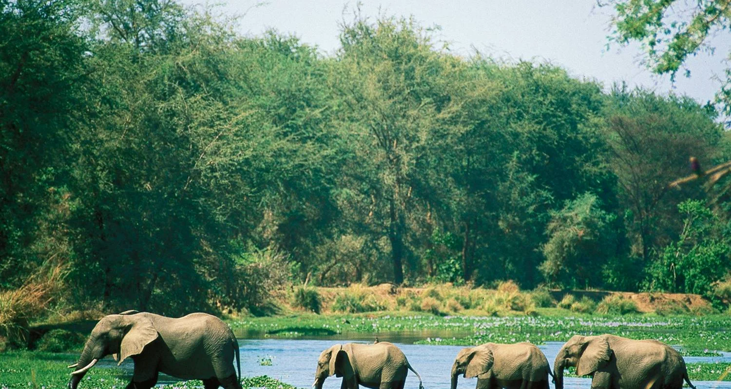 Explore Natural Treasures in Southern Africa for 18 days with Gebeco and discover unforgettable experiences - Photo 2