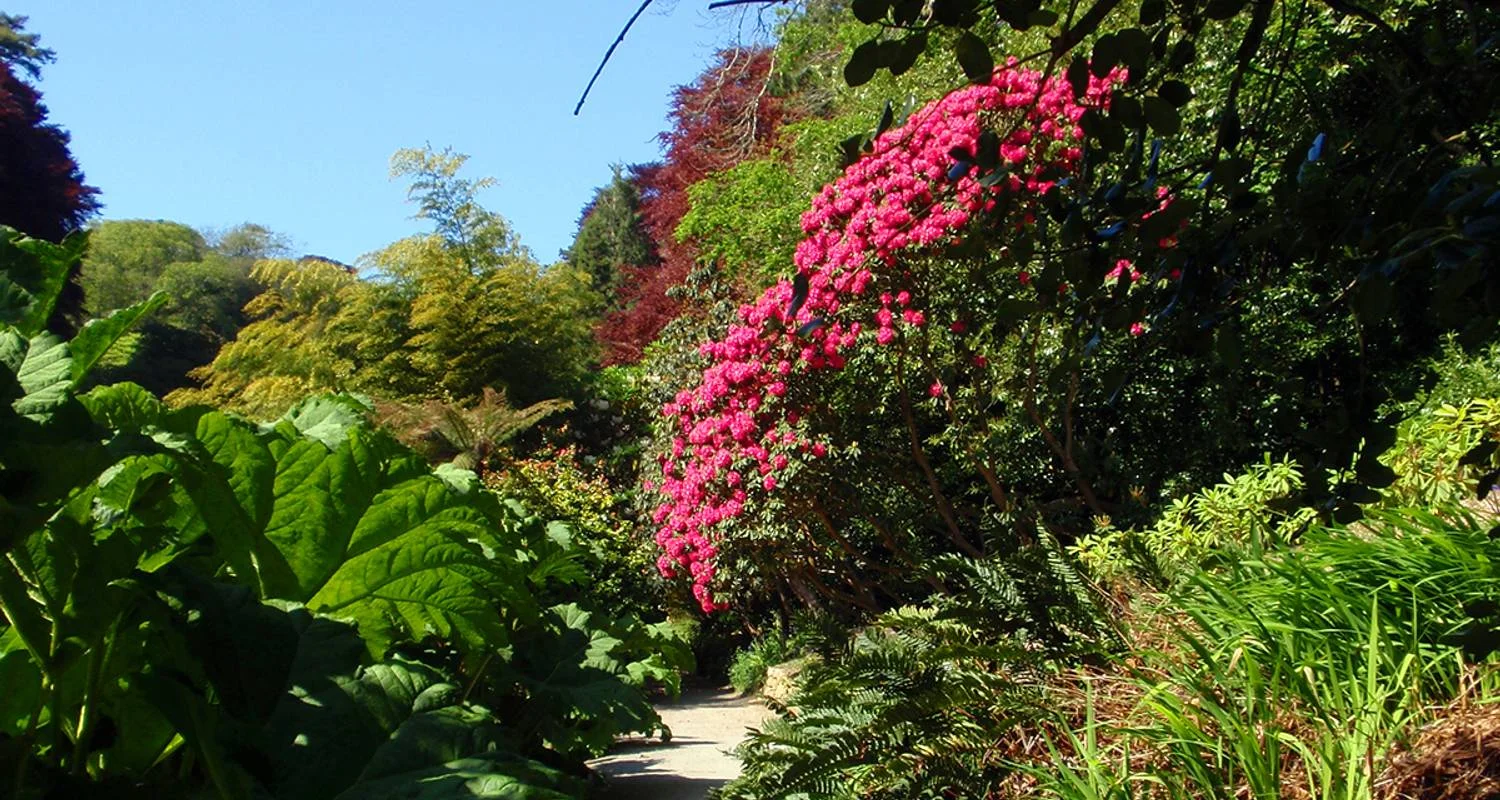 Central England ─ Cottage parks and Landscaped Gardens - 8 days with Gebeco - Photo 2 Explore Central England ─ Cottage parks and Landscaped Gardens for 8 days with Gebeco and discover unforgettable experiences - Photo 2