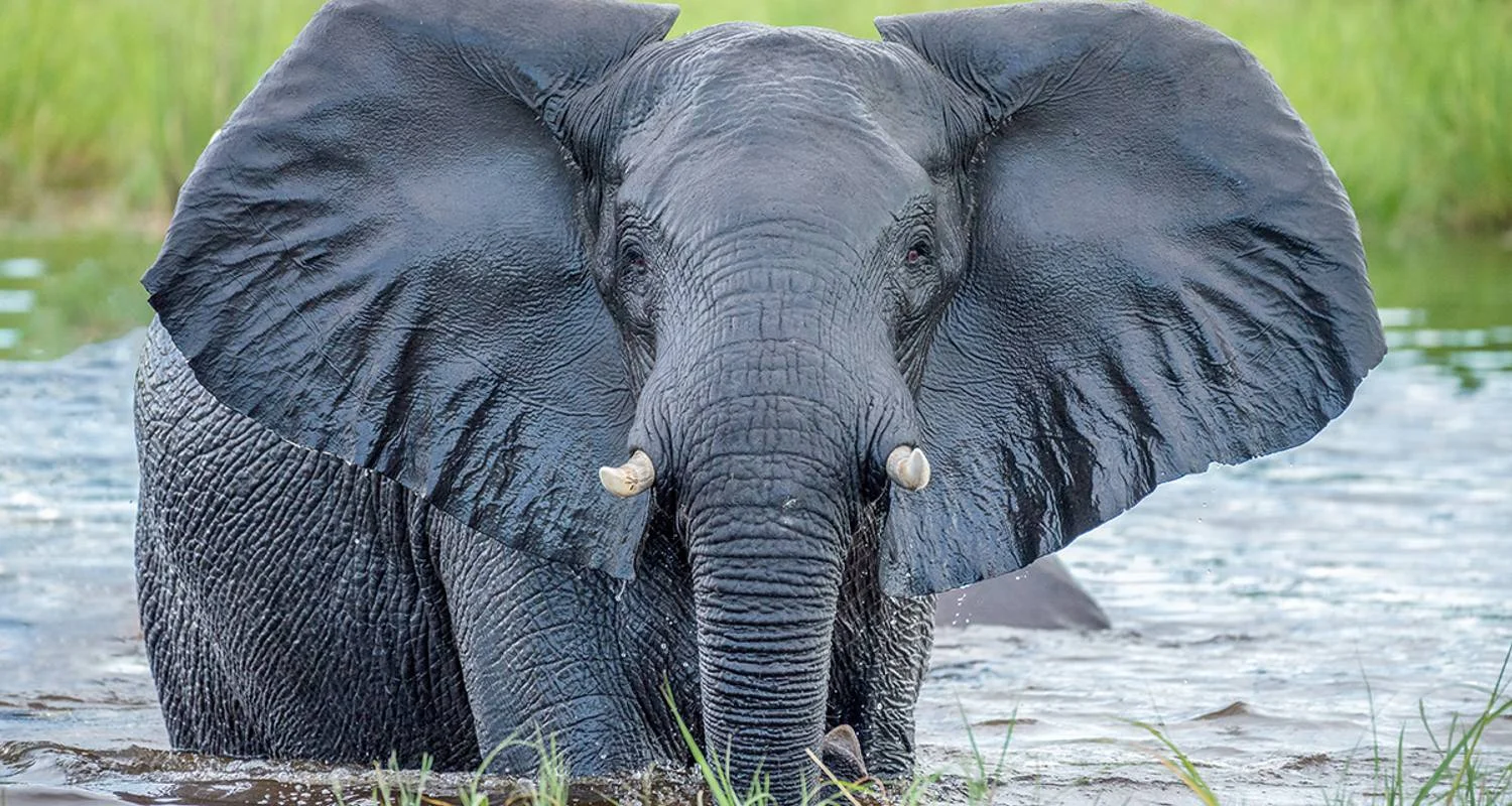 Explore Namibia - From Windhoek to the Victoria Falls for 14 days with Gebeco and discover unforgettable experiences - Photo 2