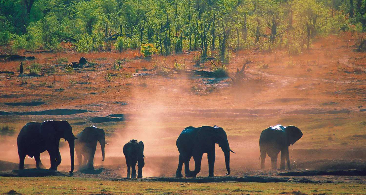 Explore Tanzania and Zanzibar for 14 days with Gebeco and discover unforgettable experiences - Photo 2