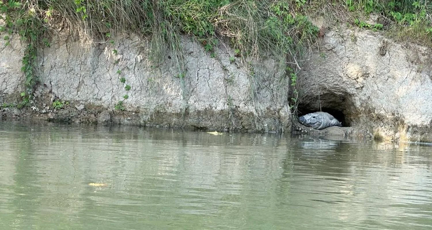 Explore Bardia Tower Night Stay Package for 3 days with Getaway Nepal Adventure Pvt. Ltd and discover unforgettable experiences - Photo 2