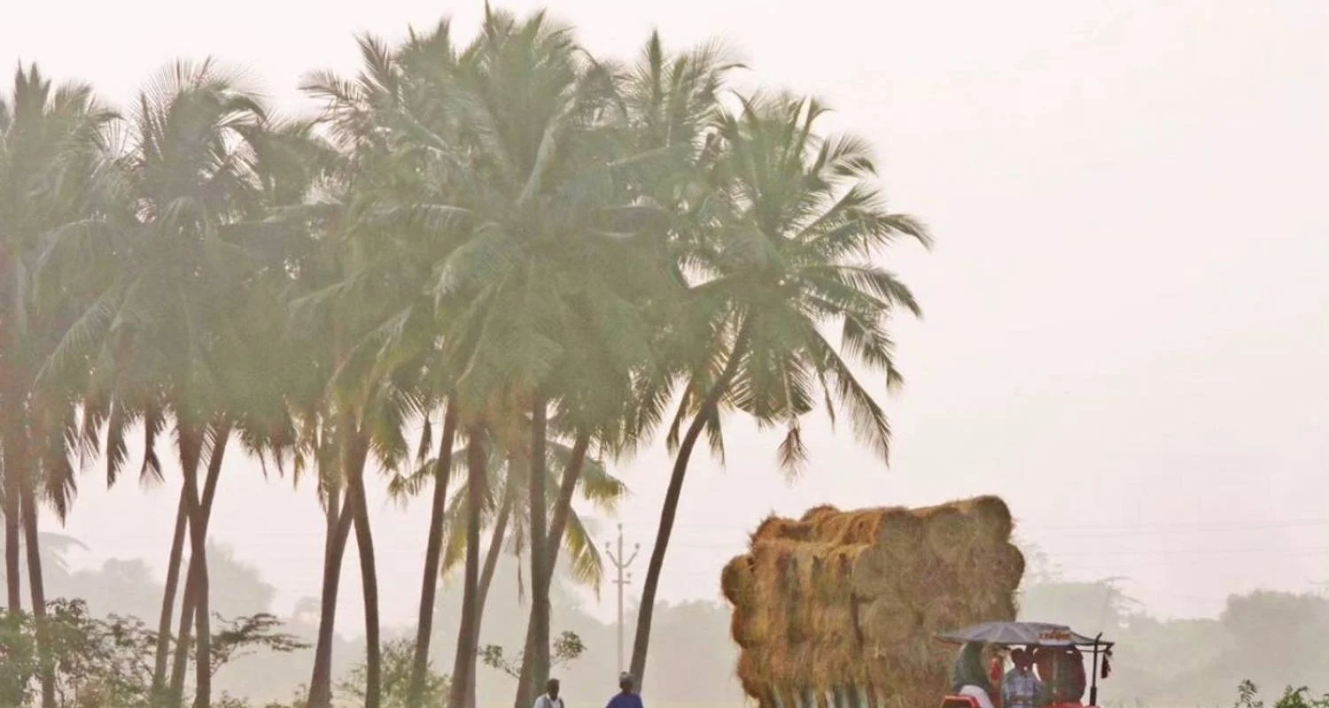 Explore 16 Days Golden Triangle Tour with South India and Backwaters for 16 days with Ghum India Ghum and discover unforgettable experiences - Photo 2