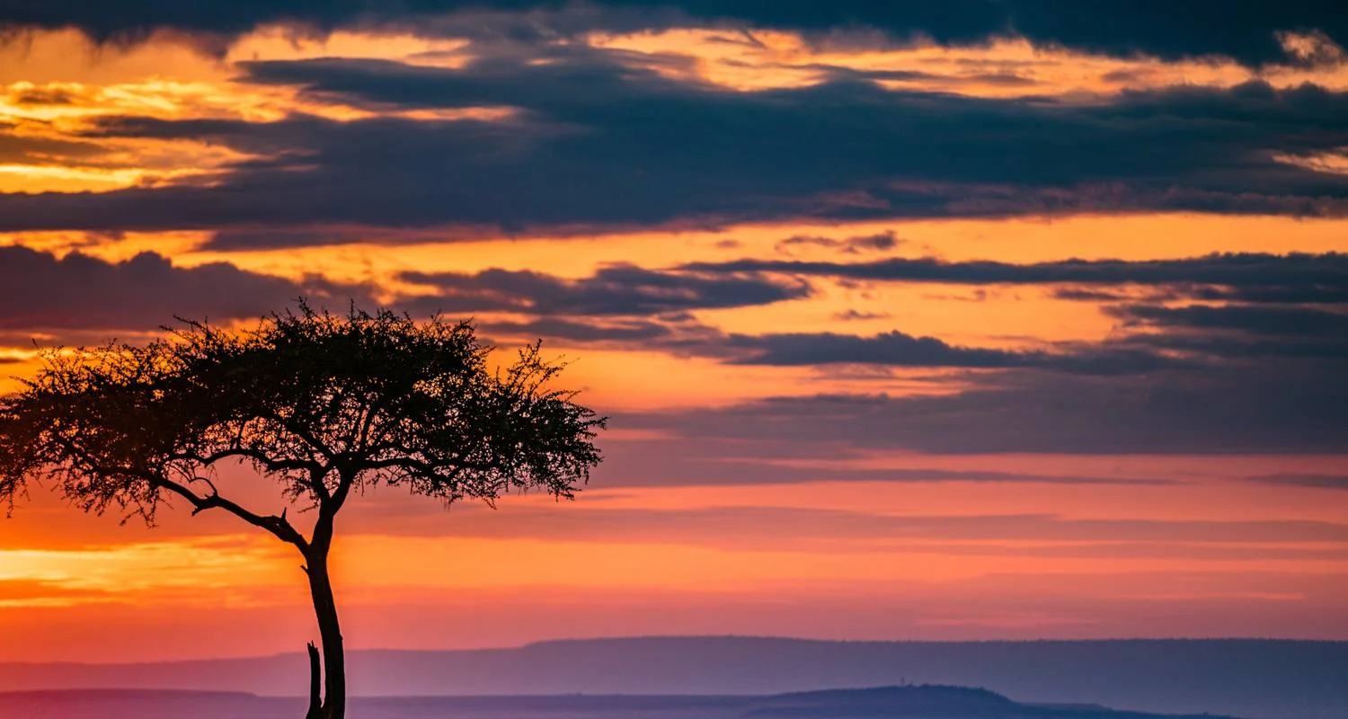 Explore The Kenyan Safari - Small Group for 10 days with Global Conquest and discover unforgettable experiences - Photo 2