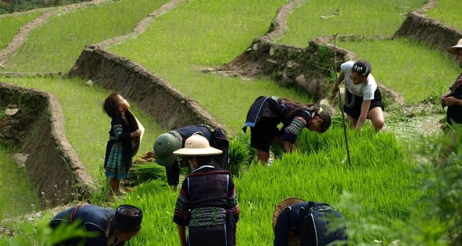 Explore Sapa & Ta Van (Homestay) - 2 Days for 2 days with Go Asia Travel and discover unforgettable experiences - Photo 2