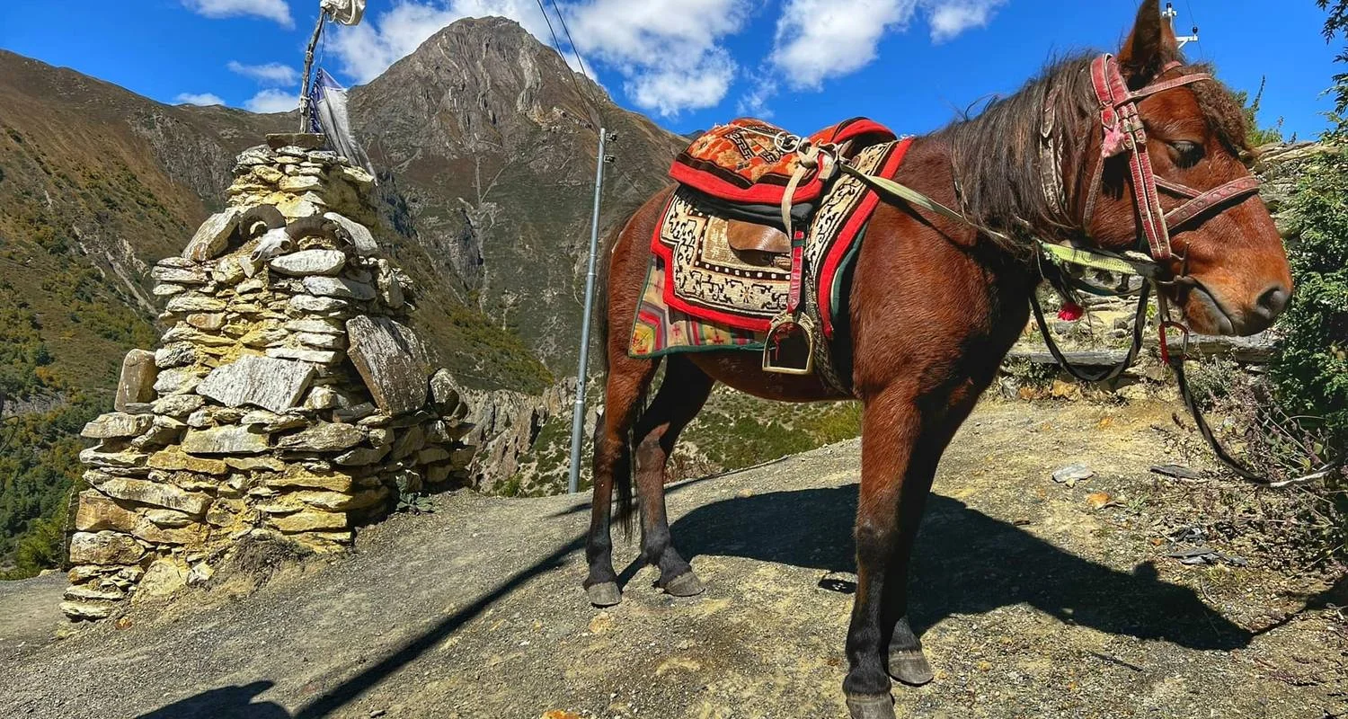 Explore Annapurna Circuit with Ghorepani Poon Hill Trek - 15 Days for 15 days with Glorious Himalaya Trekking Pvt. Ltd. and discover unforgettable experiences - Photo 2