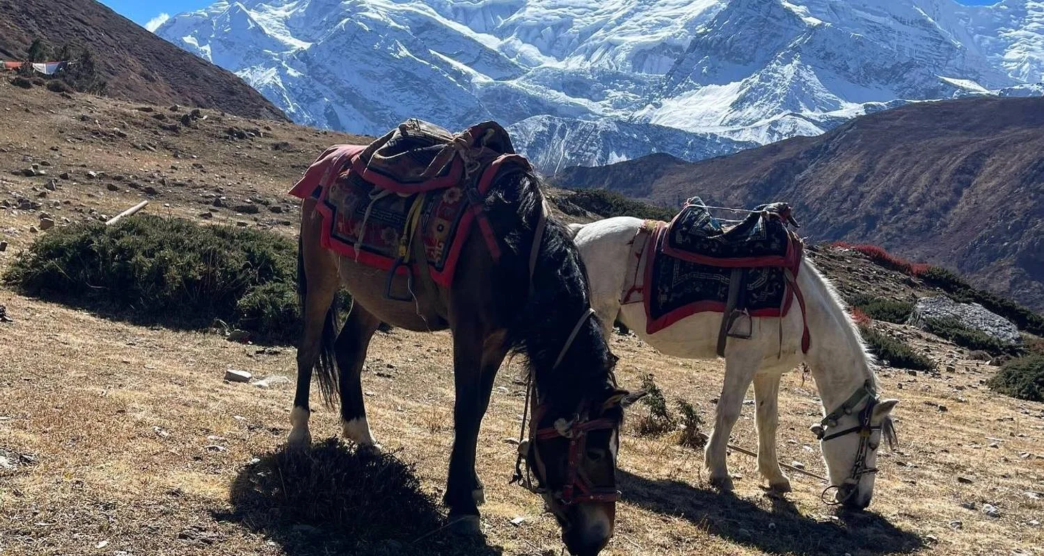 Explore Annapurna Circuit Trekking - 9 Days for 9 days with Glorious Himalaya Trekking Pvt. Ltd. and discover unforgettable experiences - Photo 2