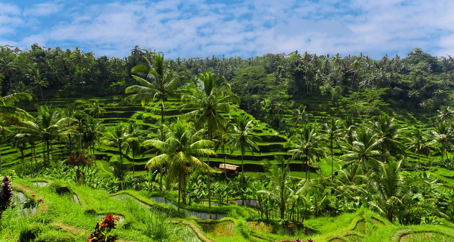 Explore Independent Singapore & Bali for 8 days with Globus and discover unforgettable experiences - Photo 2