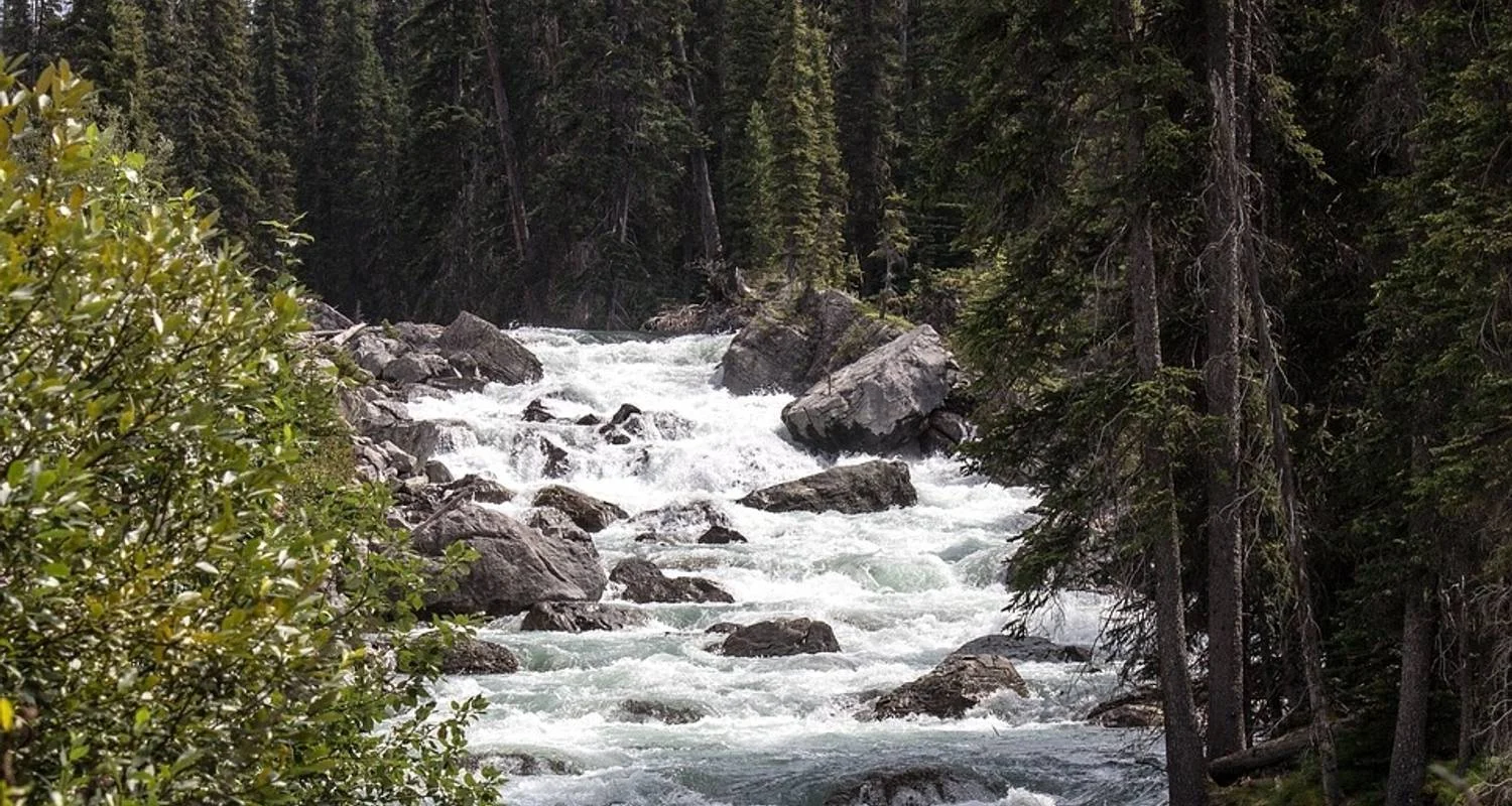 Explore Glacier National Park & the Canadian Rockies with the Calgary Stampede for 11 days with Globus and discover unforgettable experiences - Photo 2