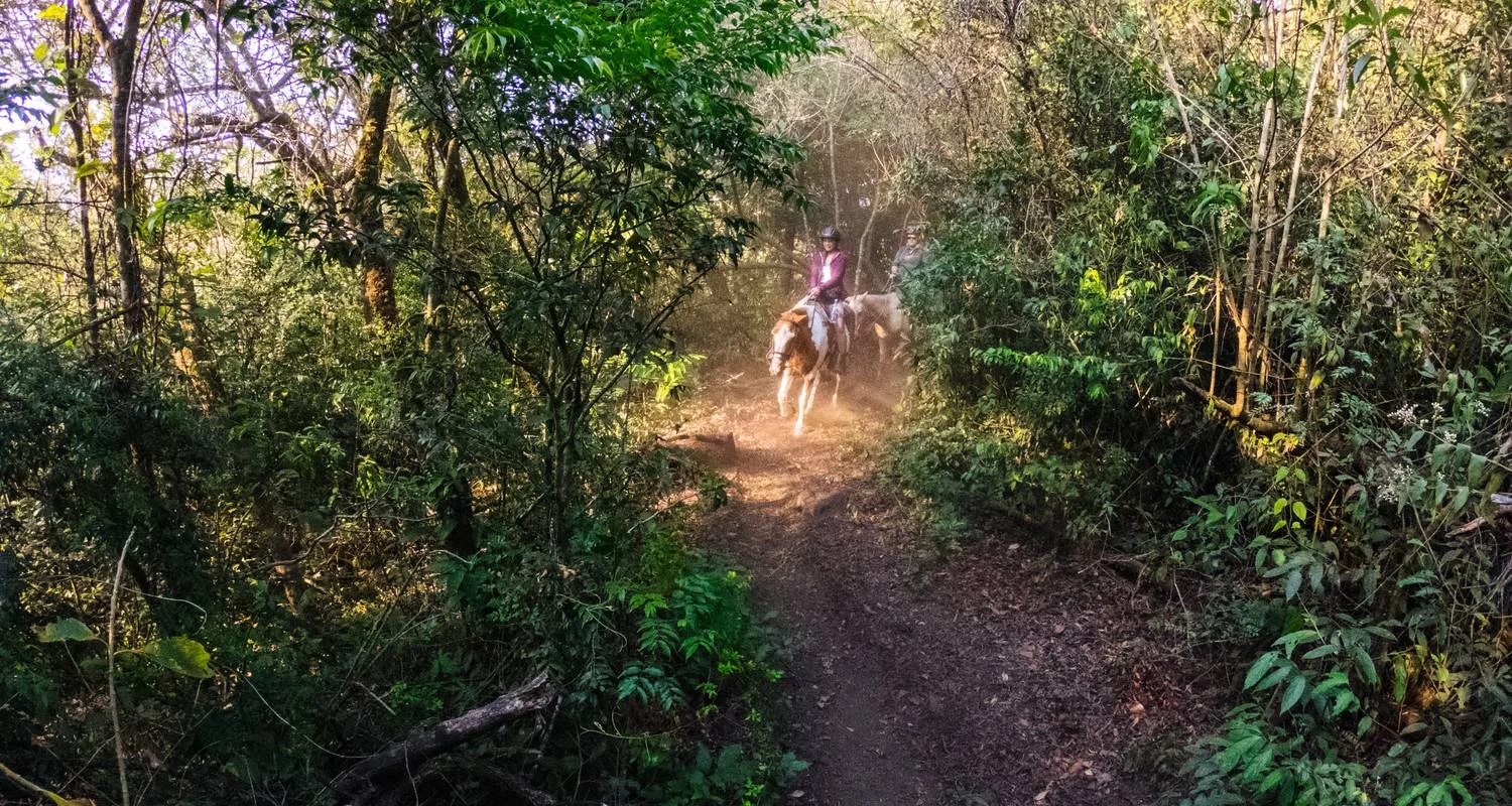 Explore Costa Rica's Pura Vida Escape with Tortuguero for 10 days with Globus and discover unforgettable experiences - Photo 2